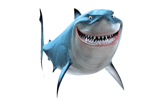 whale3